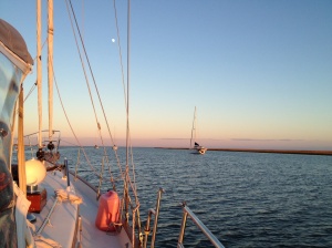 We anchored at Awendaw Creek and met up with Magnolia. This was a halfway point to Charleston.